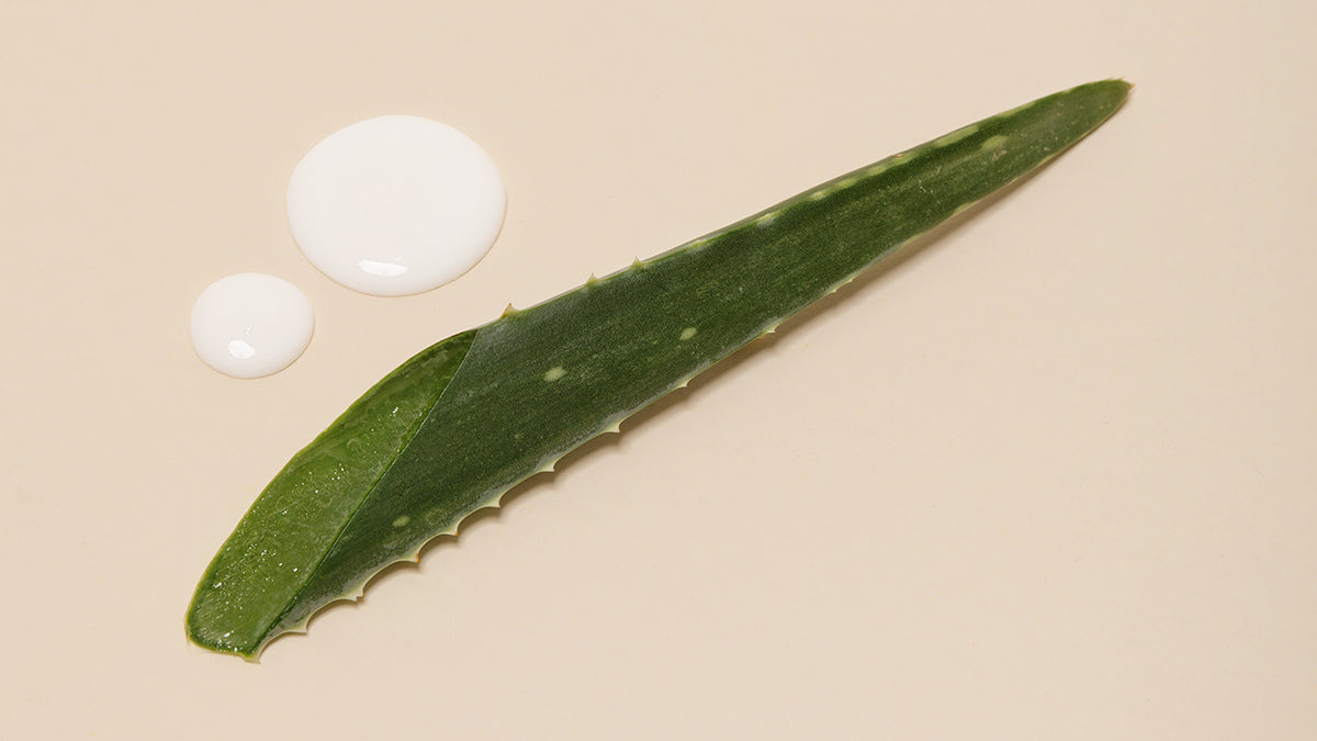 Organic Aloe Vera: Lait-Crme Fluid+ | Embryolisse USA