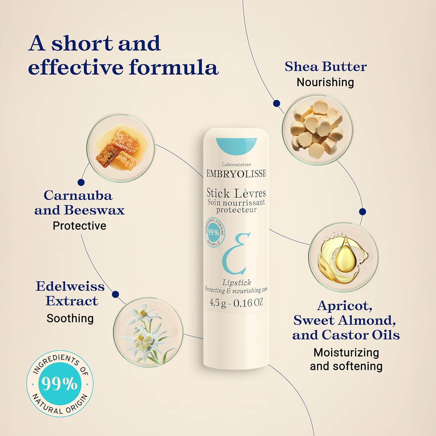 Embryolisse Protective & Nourishing Lip Balm skincare with key ingredients highlighted, including shea butter, beeswax, carnauba wax, edelweiss extract, and plant oils, showing a short and effective lip care formula made with ingredients of natural origin.